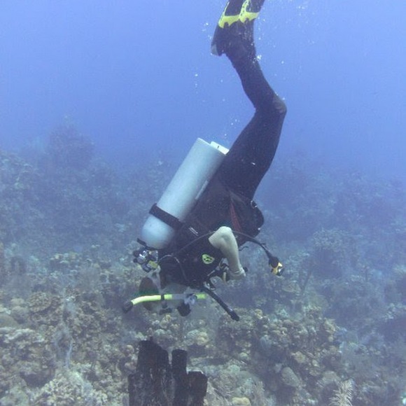 Meet your Posher, Joseph - Picture 1 of 1